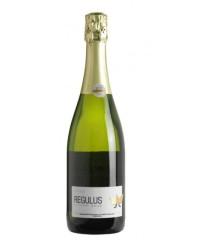 Regulus Brut