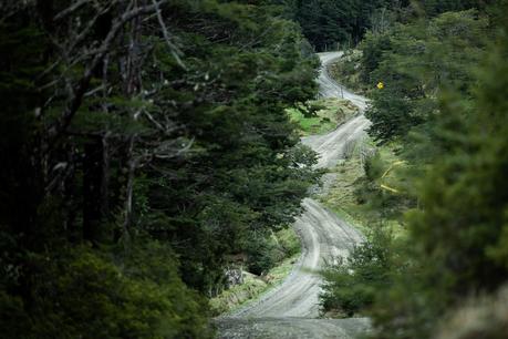 Ya está en marcha el Rally La Unión – Río Bueno Copec I RallyMobil ™ -La Unión-Río Bueno-© Luis Barra--6803
