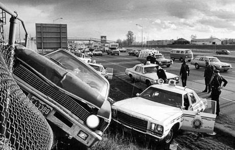 Por qué deberías amar los controles policiales y los perros detectores de bombas 2