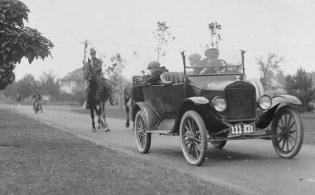 Por qué deberías amar los controles policiales y los perros detectores de bombas 4