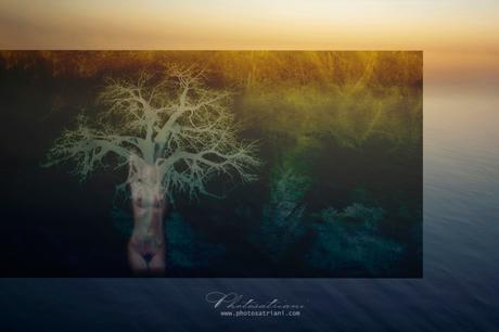 Il Venerdí di Photosatriani N. 387