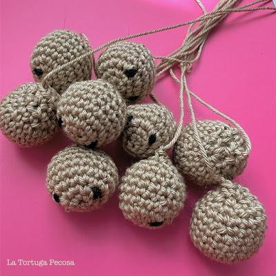 TORTUGAS JABONERAS EN ACCIÓN TORTUGAS JABONERAS EN ACCIÓN