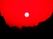 Bush Identity (2022)