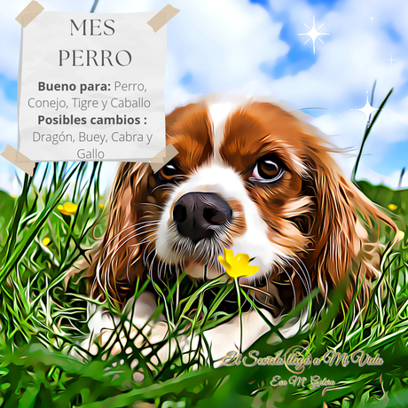 Mes Perro de Metal Yang Bazi