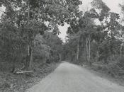 Carretera Interamericana 1950