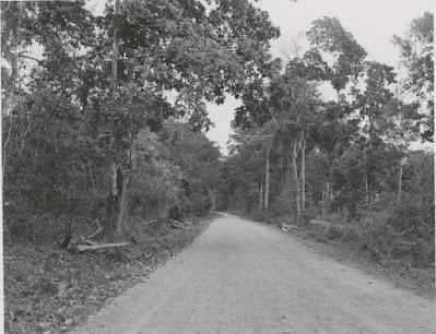 La Carretera Interamericana es 1950