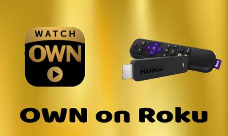 Cómo ver TU PROPIA red en Roku
