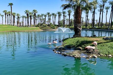 15 mejores cosas para hacer en Palm Desert, CA 15 mejores cosas para hacer en Palm Desert, CA