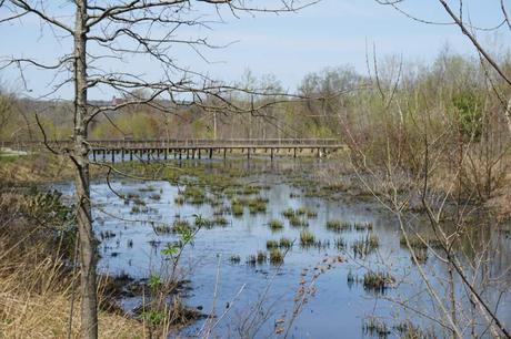 15 mejores cosas para hacer en Belmont (Massachusetts)