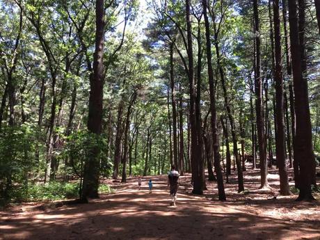 15 mejores cosas para hacer en Belmont (Massachusetts)