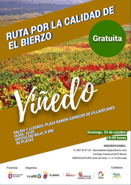 La Ruta por la calidad del Viñedo se celebra el 23 de octubre con nuevo itinerario y visita al Castro de la Ventosa 4 La Ruta por la calidad del Viñedo se celebra el 23 de octubre con nuevo itinerario y visita al Castro de la Ventosa 3