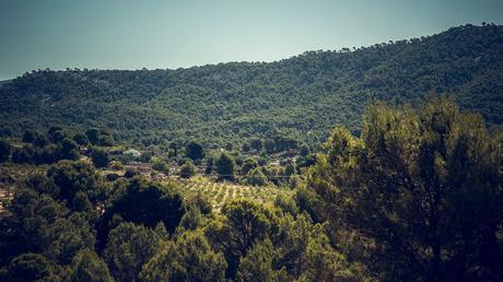 Poveda Textil es la 1ª empresa climáticamente neutra en el sector de la moda
