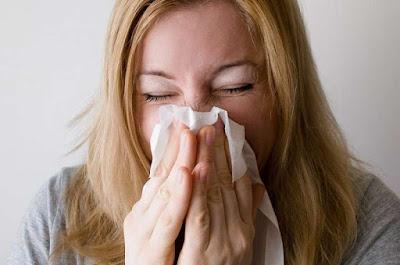 Las proteínas de fusión prometedoras para eliminar las Alergias