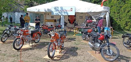 Tres días recorriendo la vigésima edición de AutoClásica 2022 Tres días recorriendo la vigésima edición de AutoClásica 2022