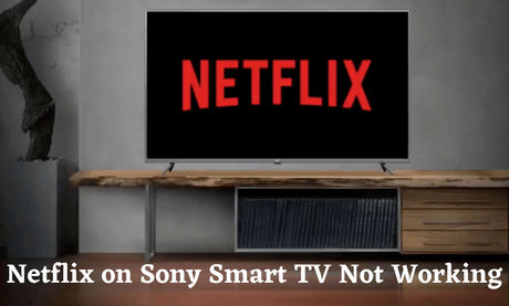 Cómo arreglar Netflix en Sony Smart TV no funciona - Paperblog