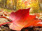 Octubre