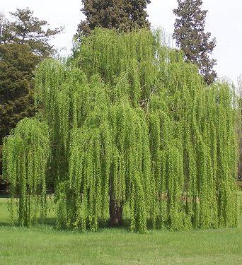 (Recopilación) Yo Escribo Septiembre 2022 by Varios Autores