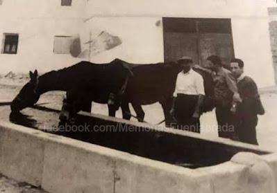 Abrevadero de los Cuatro Caños