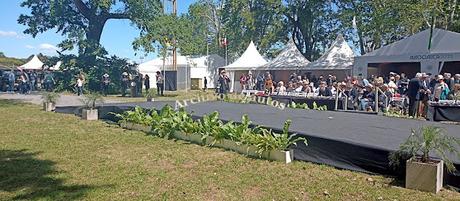 La premiación completa de autos de AutoClásica 2022 en la 20ª edición La premiación completa de autos de AutoClásica 2022 en la 20ª edición