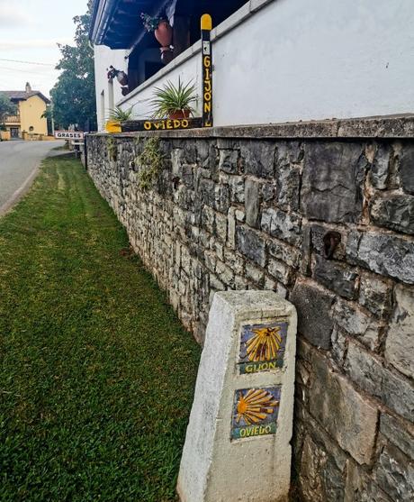 Villaviciosa-Campin de Deva, (III)