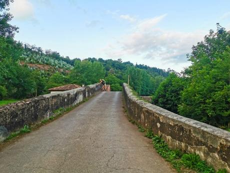 Villaviciosa-Campin de Deva, (III)