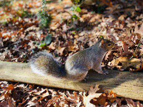 15 mejores cosas para hacer en Wareham (Massachusetts)