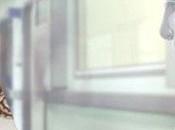 Ética robots: censo temas