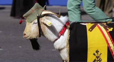 Cisma en la selección femenina de fútbol: renuncian 15 jugadoras y la RFEF exige que pidan “pidan perdón”.