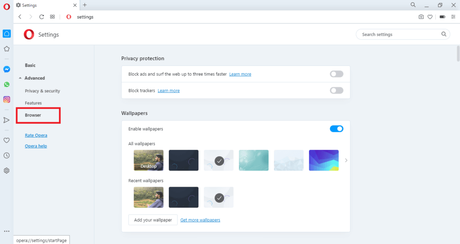 opción de navegador