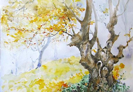 Paisajes, árboles y troncos de octubre