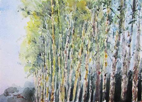 Paisajes, árboles y troncos de octubre