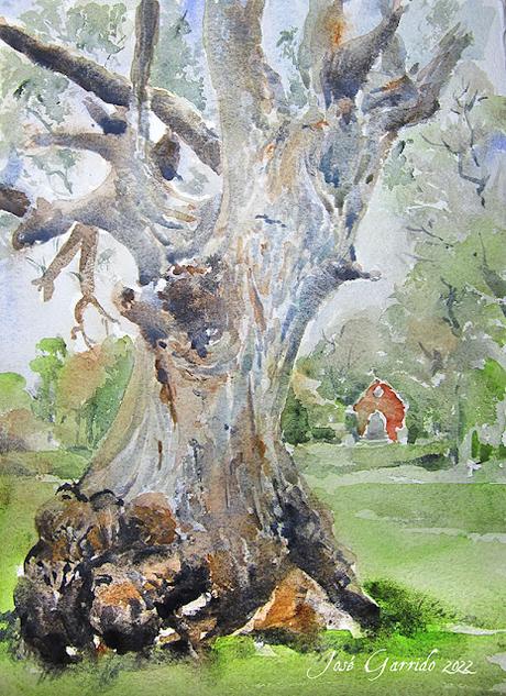 Paisajes, árboles y troncos de octubre