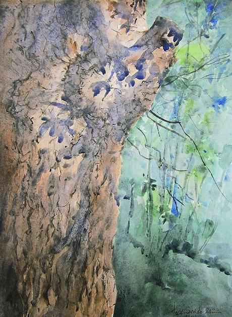 Paisajes, árboles y troncos de octubre