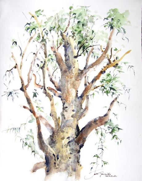 Paisajes, árboles y troncos de octubre