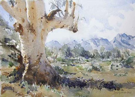 Paisajes, árboles y troncos de octubre