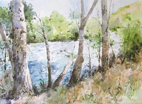 Paisajes, árboles y troncos de octubre