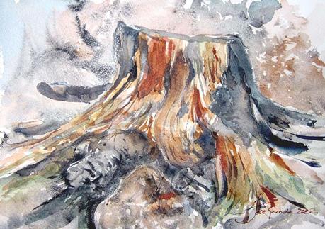 Paisajes, árboles y troncos de octubre