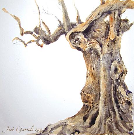 Paisajes, árboles y troncos de octubre