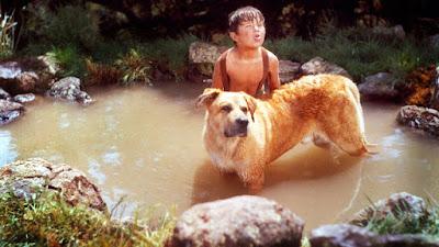 FIEL AMIGO (Old yeller) (USA, 1957) Vida Normal