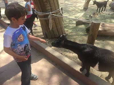 ¿Merece la pena sacar el bonoparque?