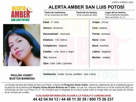 Alerta Amber: Paulina Vianey de 17 años vista por última vez en el Sauzalito