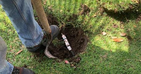 “Fuga Cero” continúa desmantelando tomas clandestinas.