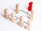 Redes Conocimiento: Vida después Organigrama