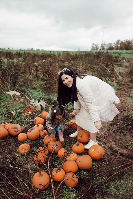 Sunshine Pumpkin Farm