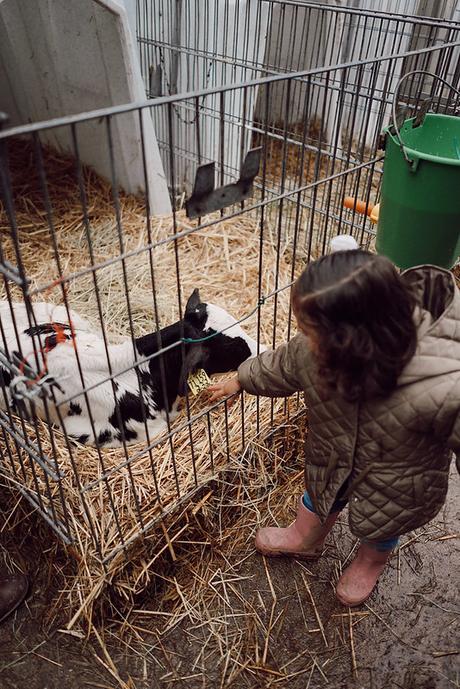 Sunshine Pumpkin Farm: un plan muy otoñal