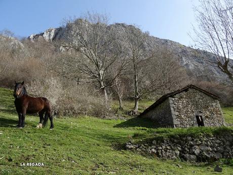 Santoveña-Valle Berroña-Valle Lloberuga