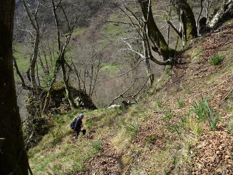 Santoveña-Valle Berroña-Valle Lloberuga