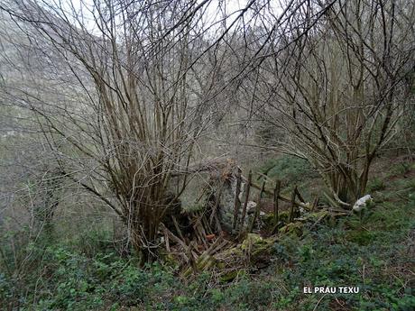 Santoveña-Valle Berroña-Valle Lloberuga