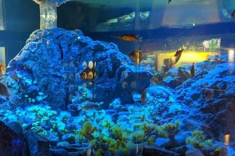 Qué ver y hacer en La Coruña Qué ver y hacer en La Coruña