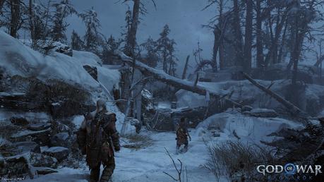 52442175201_bb8c7b46a5_h